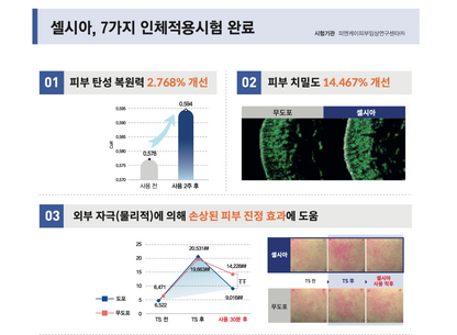 셀시아