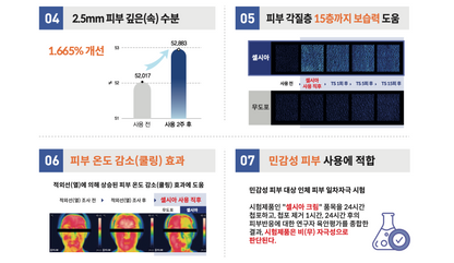 셀시아